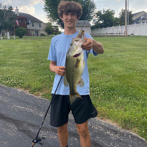 Meet your Posher, Avery